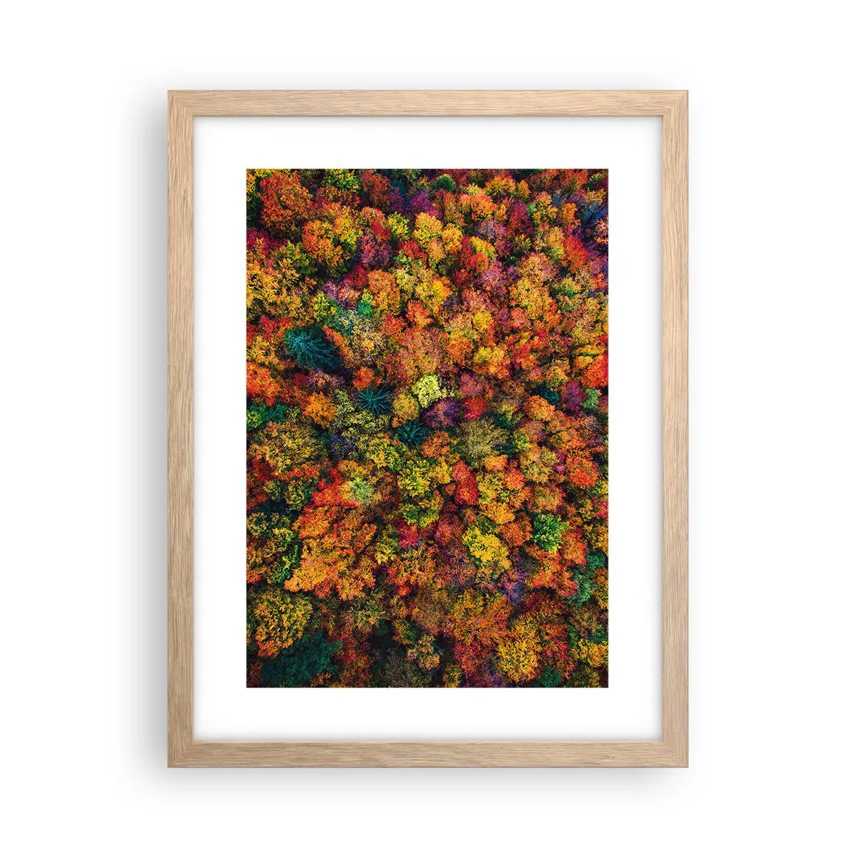 Poster in einem Rahmen aus heller Eiche - Blumenstrauß aus Herbstbäumen - 30x40 cm