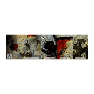 Fototapetenmuster Standard Eco - Pass auf, bevor ich verschwinde - Abstraktion, Schmetterling, Stück - 100x30 cm