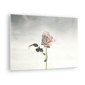 Glasbild - Bild auf glas - Eine zarte Rose vor dem Himmel mit fliegenden Vögeln - 70x50cm - Begrüßung des Frühlings - Moderne Wanddekoration für Wohnzimmer und Schlafzimmer ARTTOR