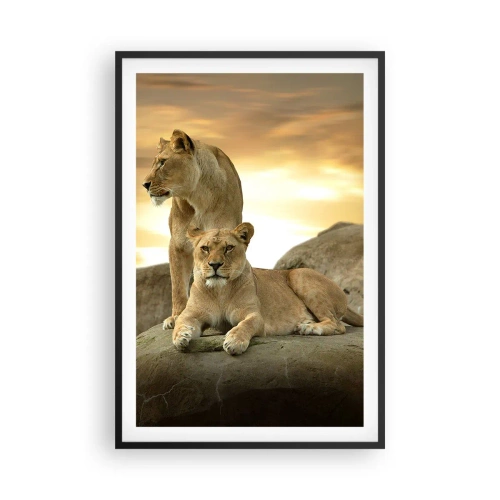 Poster in einem schwarzem Rahmen - Königliche Majestät - 61x91 cm