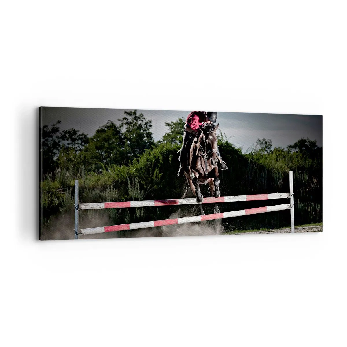 Bild auf Leinwand - Leinwandbild - Gemeinsam zum Sieg - 100x40 cm