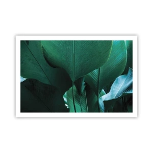 Poster - Dem Licht zugewandt - 91x61 cm