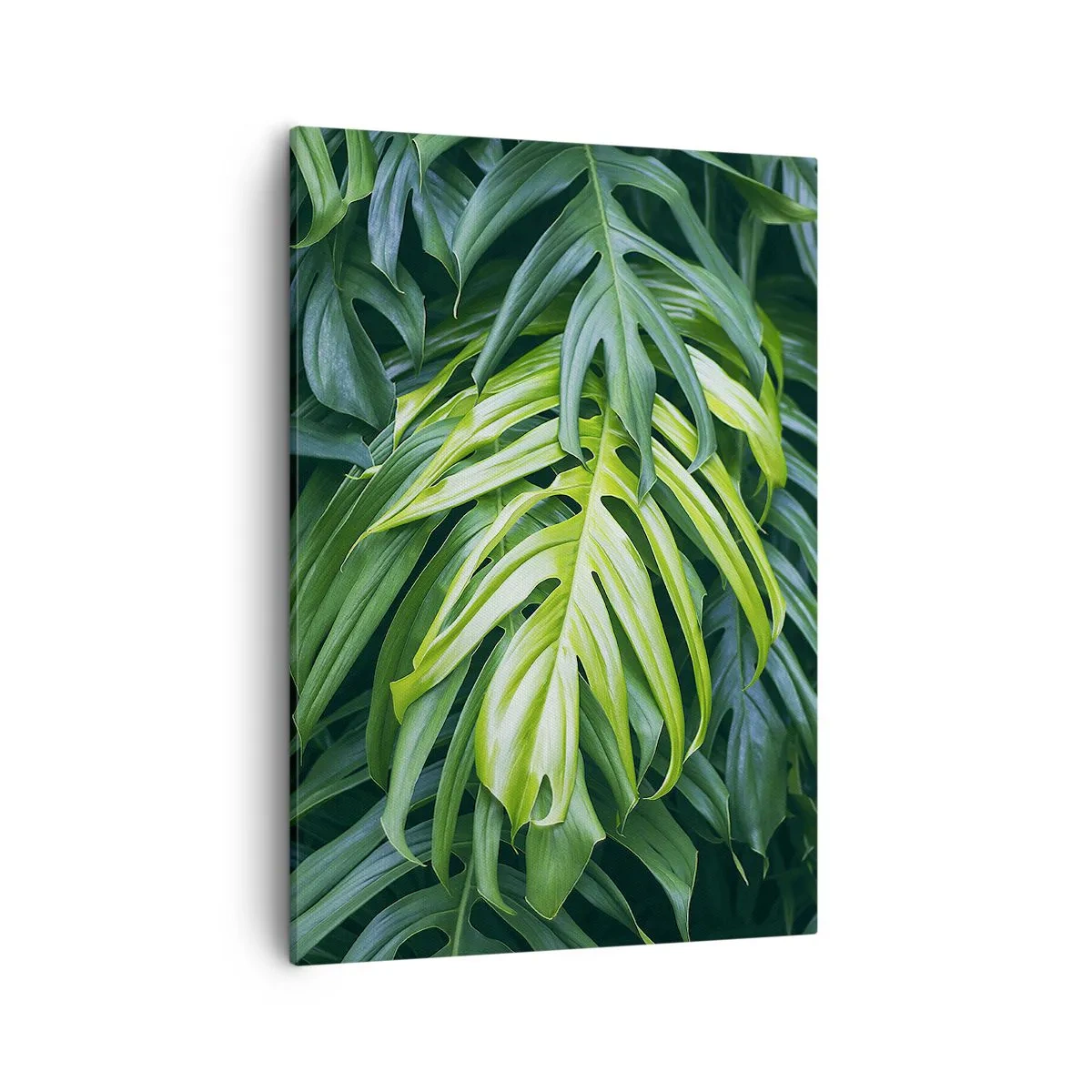 Bild auf Leinwand - Leinwandbild - Grüne Blätter in einem dichten tropischen Arrangement - 50x70cm - Tauchen Sie ein in die Frische - Moderne Wanddekoration für Wohnzimmer und Schlafzimmer ARTTOR