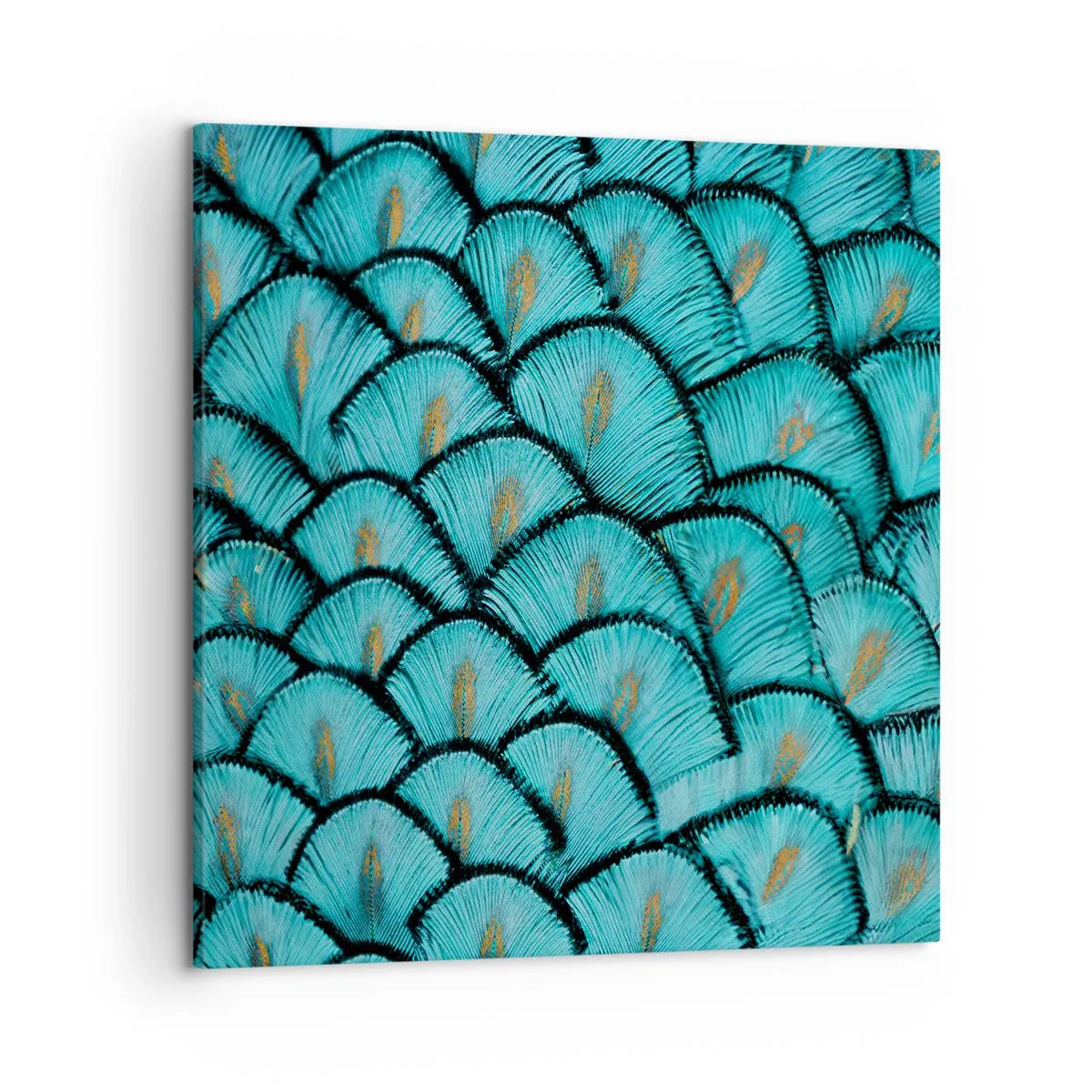Bild auf Leinwand - Leinwandbild - Große Federgala - 50x50 cm