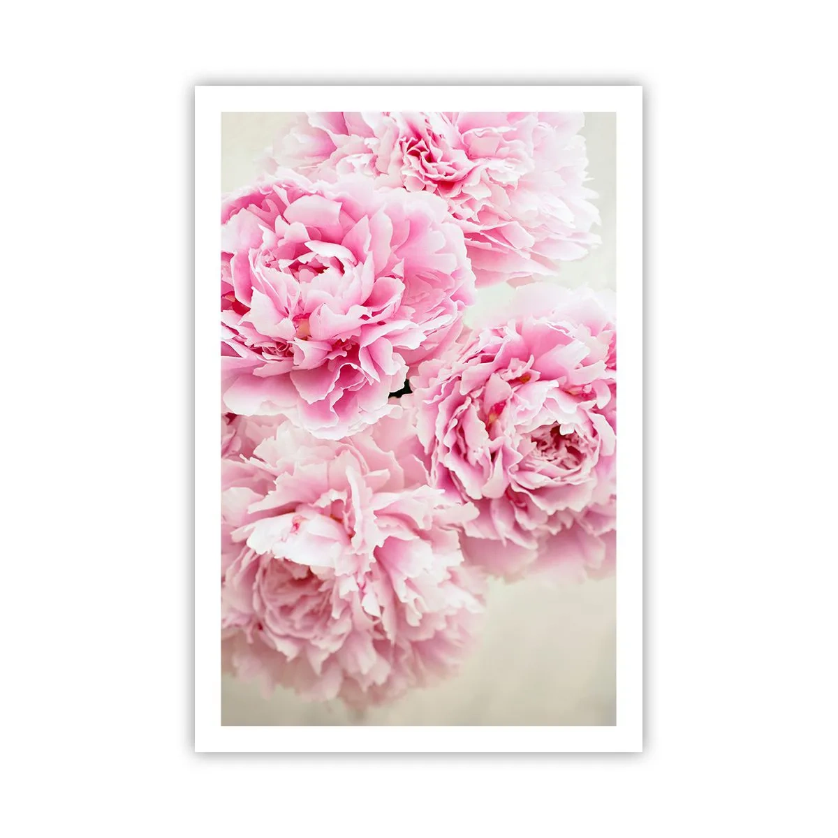 Poster - In rosa Glamour - 61x91 cm