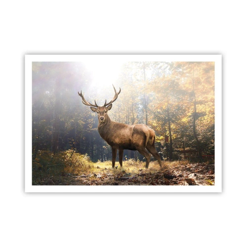 Poster - Hirsch im herbstlichen Wald mit Sonnenstrahlen - 100x70cm - In voller Majestät - Moderne Wanddekoration für Wohnzimmer und Schlafzimmer ARTTOR