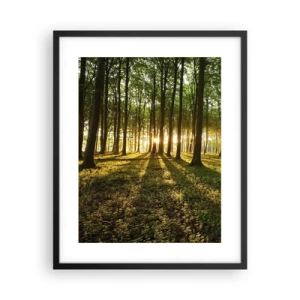 Poster in einem schwarzem Rahmen - Alle Frühlingsfotografie - 40x50 cm
