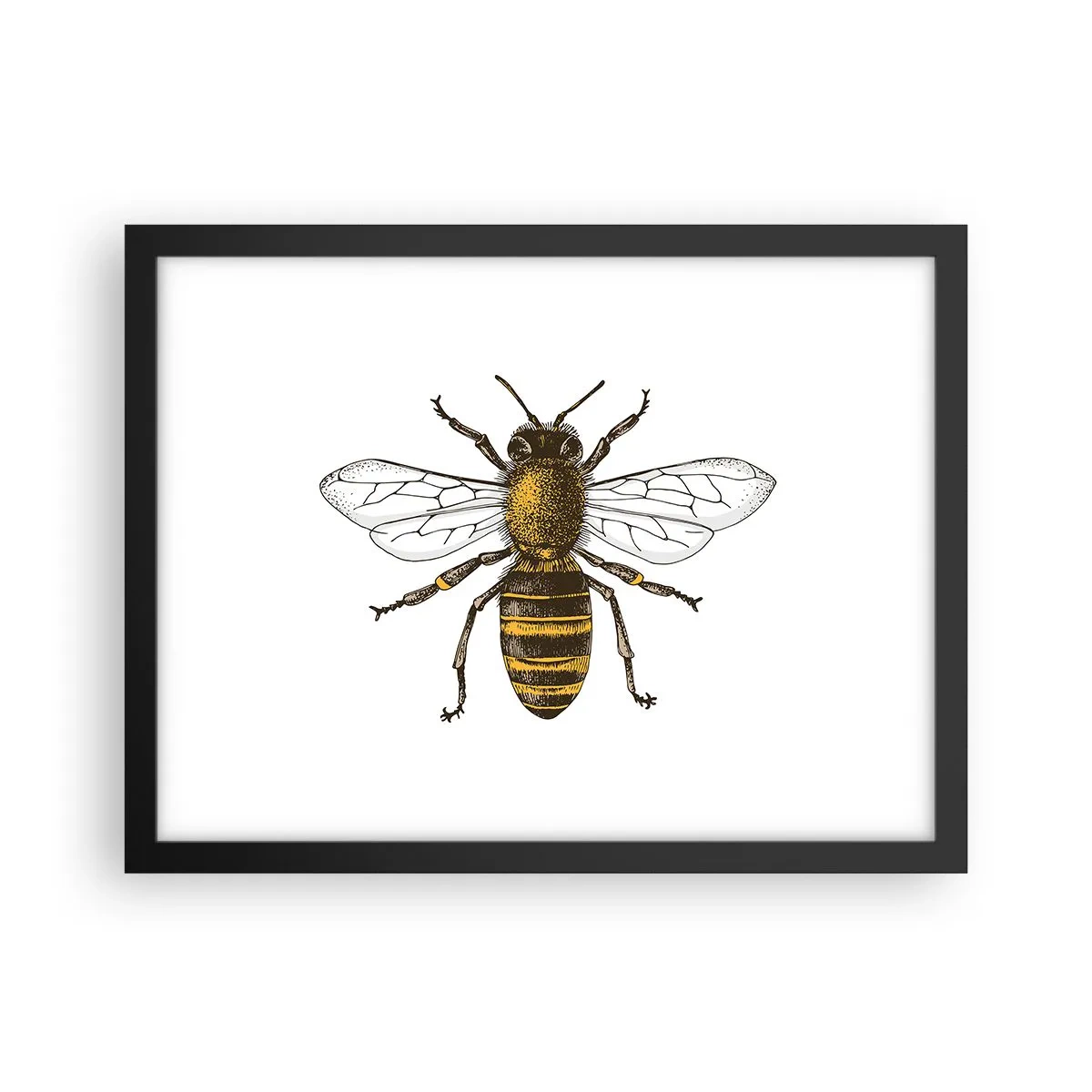 Poster in einem schwarzem Rahmen - Schön und gut - 40x30 cm