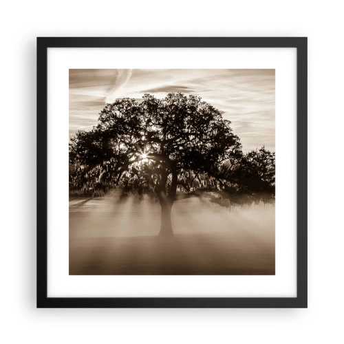 Poster in einem schwarzem Rahmen - Baum der guten Nachrichten - 40x40 cm
