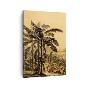 Bild auf Leinwand - Leinwandbild - Zeichnung von Bananenbäumen vor dem Hintergrund einer tropischen Landschaft - 50x70cm - in einem kolonialen Klima - Moderne Wanddekoration für Wohnzimmer und Schlafzimmer ARTTOR