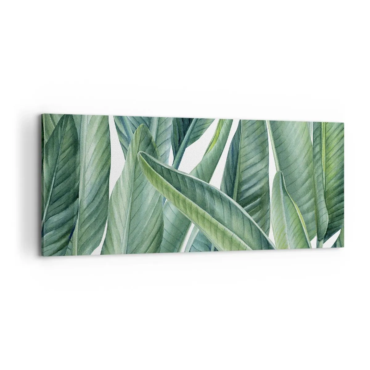 Bild auf Leinwand - Leinwandbild - An und für sich Grün - 100x40 cm