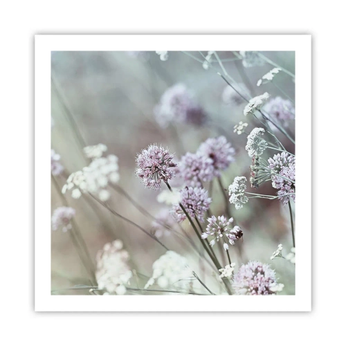 Poster - Süße filigrane Kräuter - 60x60 cm