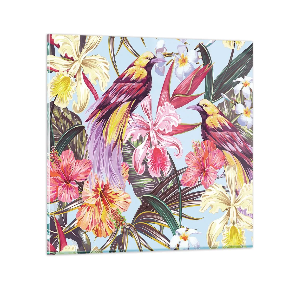 Glasbild - Bild auf glas - Blütenblätter und Federn - 70x70 cm