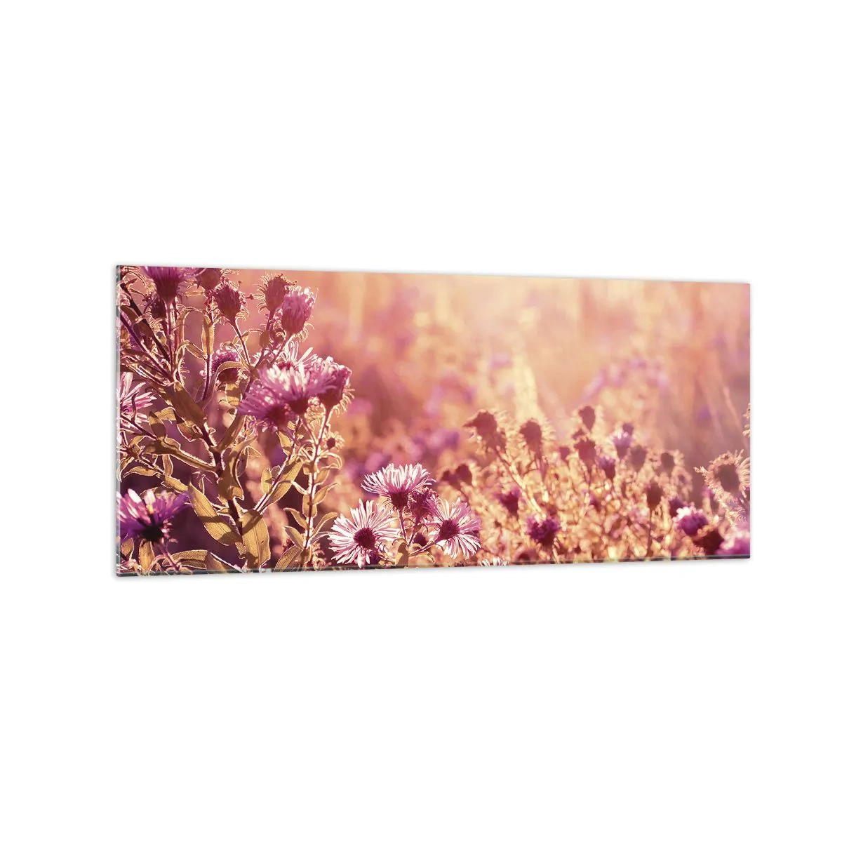 Glasbild - Bild auf glas - Wiese im Licht der untergehenden Sonne - 120x50cm - Bevor der Sommer vorbei ist - Moderne Wanddekoration für Wohnzimmer und Schlafzimmer ARTTOR