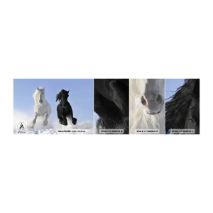 Fototapetenmuster Standard Eco - Schwarz-Weiß-Galopp - Tiere, Pferd, Winter - 100x30 cm