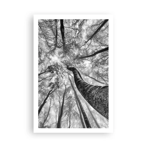 Poster - Rennen zum Licht - 61x91 cm