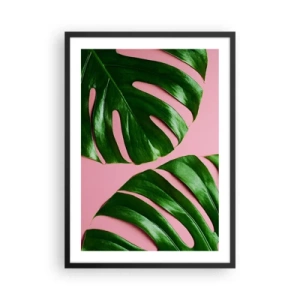 Poster in einem schwarzem Rahmen - Monstera-Blätter auf rosa Hintergrund im minimalistischen Stil - 50x70cm - Rendezvous im Grünen - Moderne Wanddekoration für Wohnzimmer und Schlafzimmer ARTTOR
