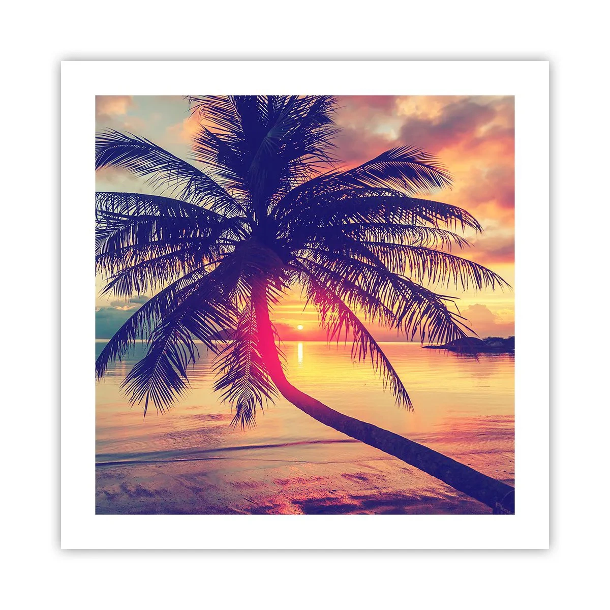 Poster - Abend unter Palmen - 50x50 cm