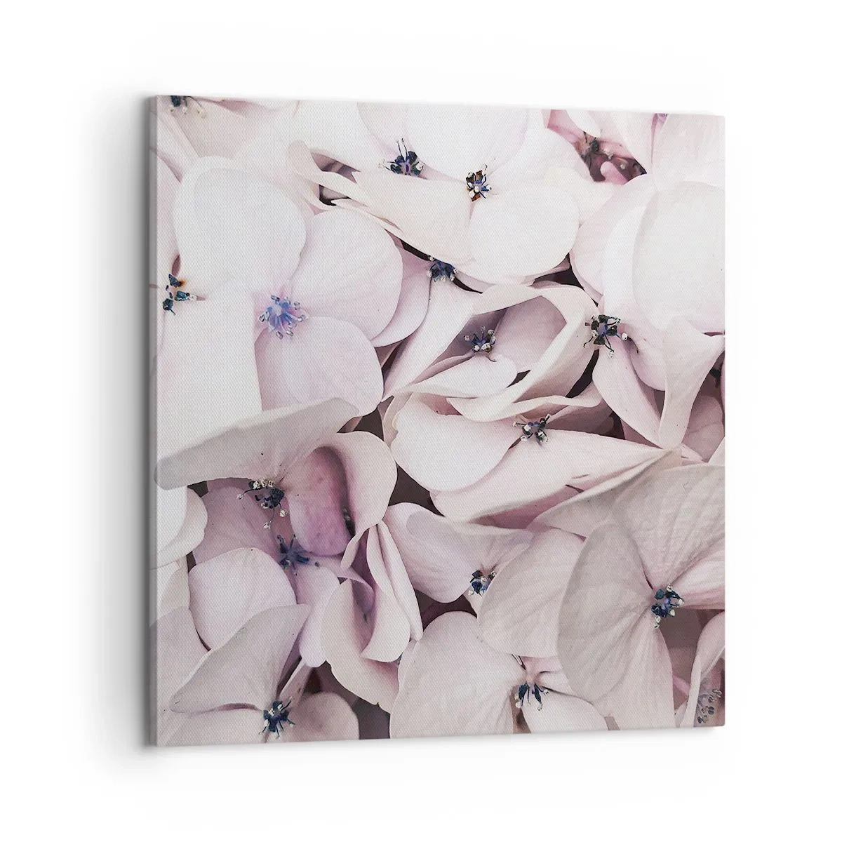 Bild auf Leinwand - Leinwandbild - In einer Blumenflut - 60x60 cm