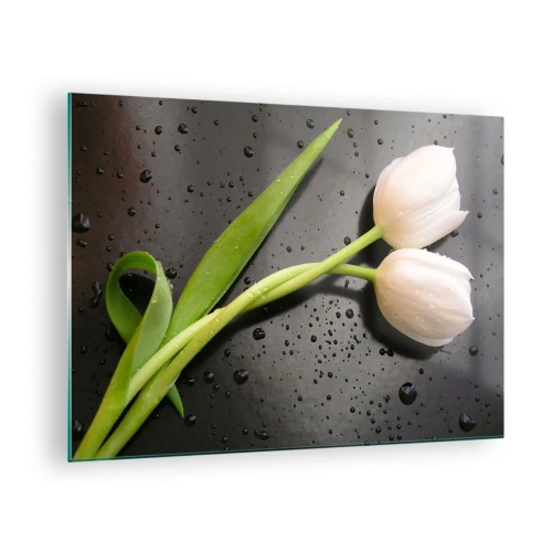 Glasbild - Bild auf glas - Weiße Tulpen auf einem Hintergrund mit Wassertropfen - 70x50cm - Frühlingsgewebe - Moderne Wanddekoration für Wohnzimmer und Schlafzimmer ARTTOR