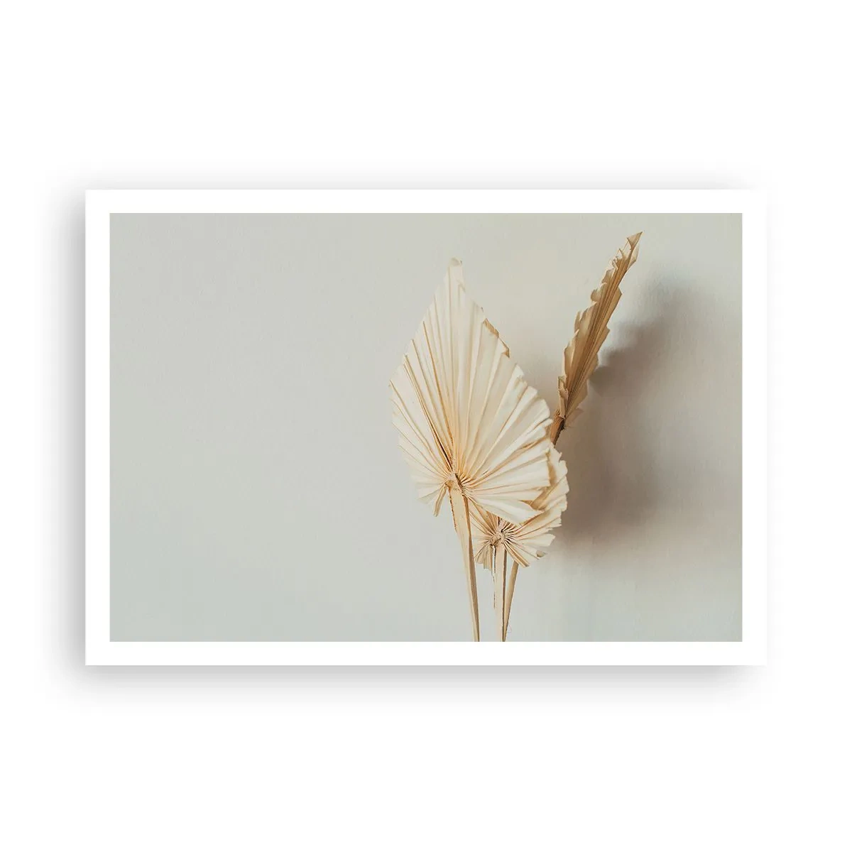 Poster - Getrocknete Palmblätter in minimalistischem Arrangement - 100x70cm - Wenn Sie Erleichterung brauchen - Moderne Wanddekoration für Wohnzimmer und Schlafzimmer ARTTOR