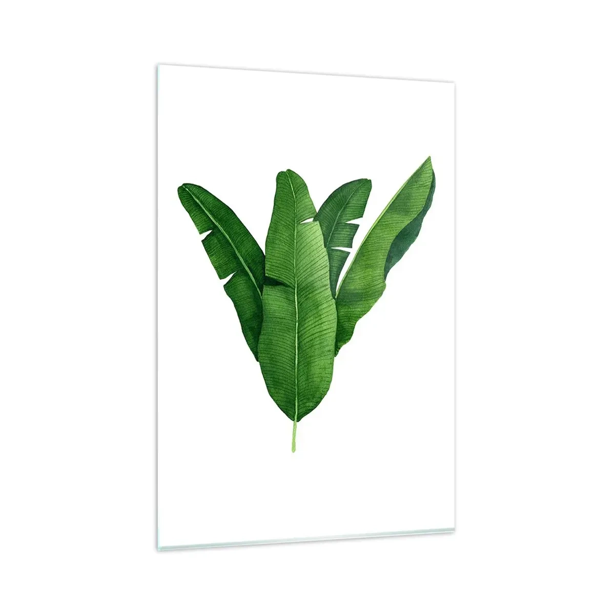 Glasbild - Bild auf glas - Drei Bananenblätter in künstlerischer Umsetzung - 80x120cm - Grüne Symmetrie - Moderne Wanddekoration für Wohnzimmer und Schlafzimmer ARTTOR