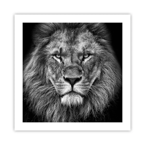 Poster - Im Krönungsgewand - 50x50 cm