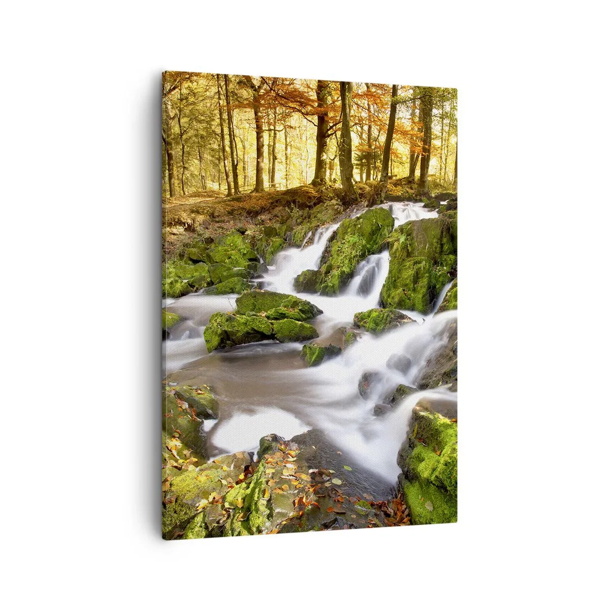 Bild auf Leinwand - Leinwandbild - Eine bewaldete Landschaft mit einem von Moos umgebenen Wasserfall - 50x70cm - Rasch durch den herbstlichen Wald - Moderne Wanddekoration für Wohnzimmer und Schlafzimmer ARTTOR