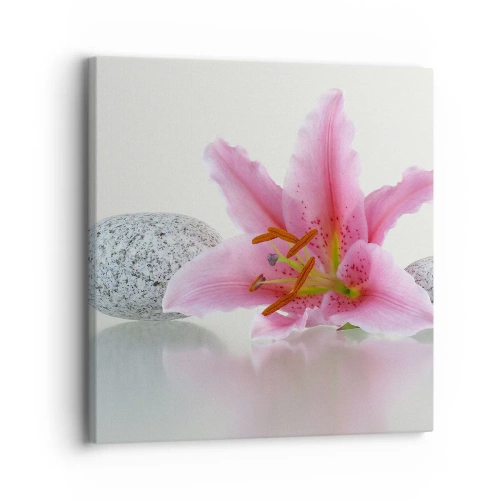 Bild auf Leinwand - Leinwandbild - Eine Studie in Pink, Grau und Weiß - 30x30 cm