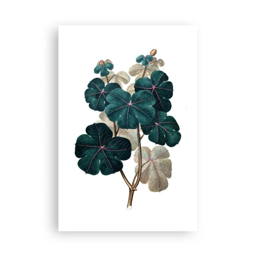 Poster - Aus dem alten Herbarium - 61x91 cm