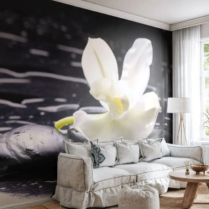Fototapete Premium Sand - Weiße Orchidee auf schwarzen Steinen - 100x70cm - Eine Studie in Schwarzweiß - Moderne Wanddekoration für Wohnzimmer und Schlafzimmer ARTTOR