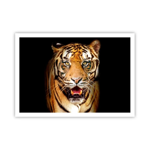Poster - Ein Tiger mit offenem Maul auf schwarzem Hintergrund - 100x70cm - Wild im Herzen - Moderne Wanddekoration für Wohnzimmer und Schlafzimmer ARTTOR