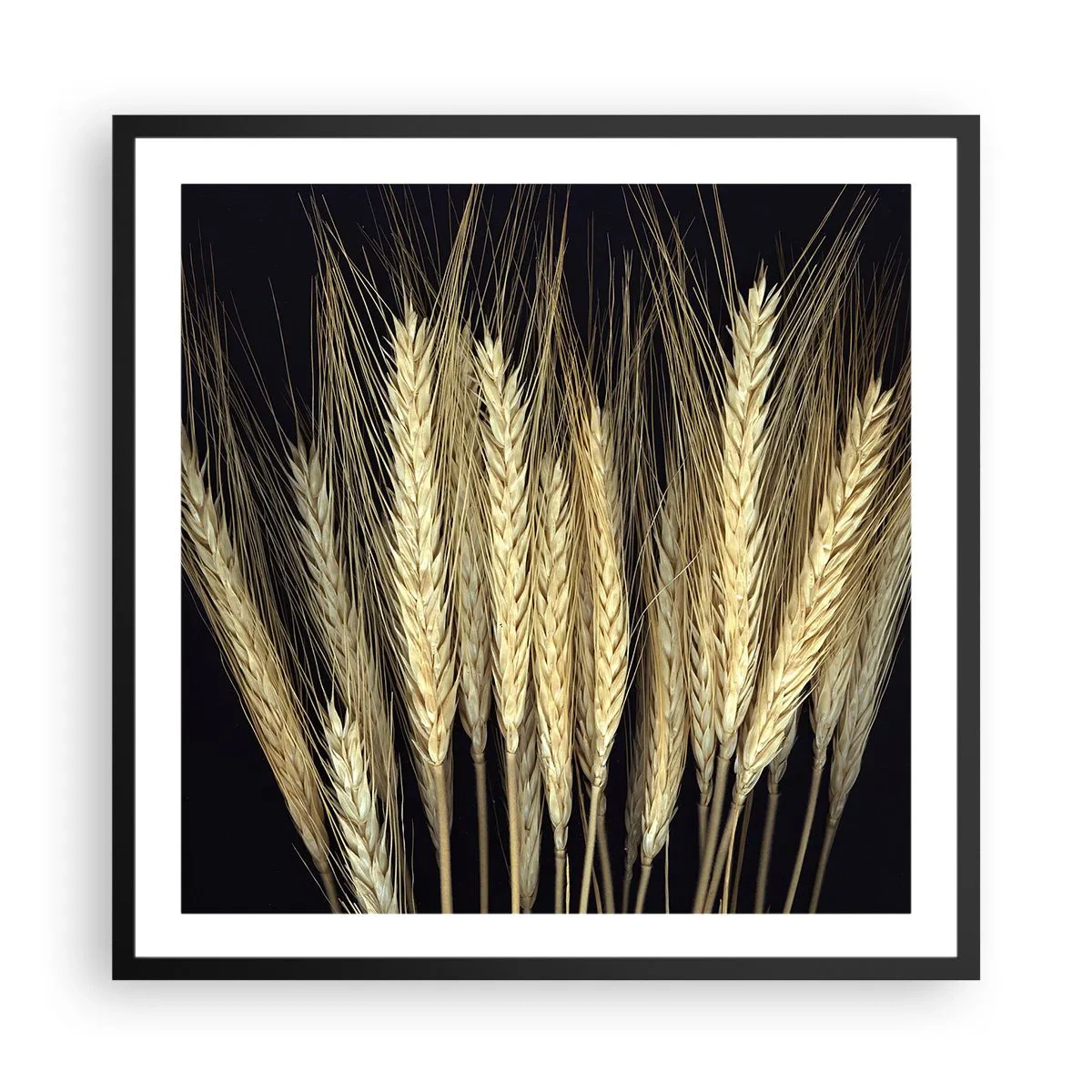 Poster in einem schwarzem Rahmen - Rustikale Magie - 60x60 cm