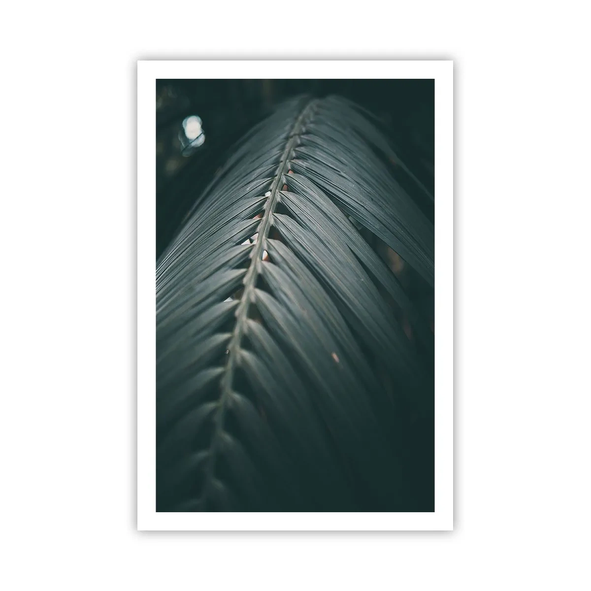 Poster - Die Präzision der Natur - 61x91 cm