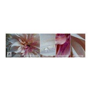 Fototapeten Muster Selbstklebend Deluxe Sticker - Blühende Frische - Blume, Dahlie, Anlage - 100x30 cm