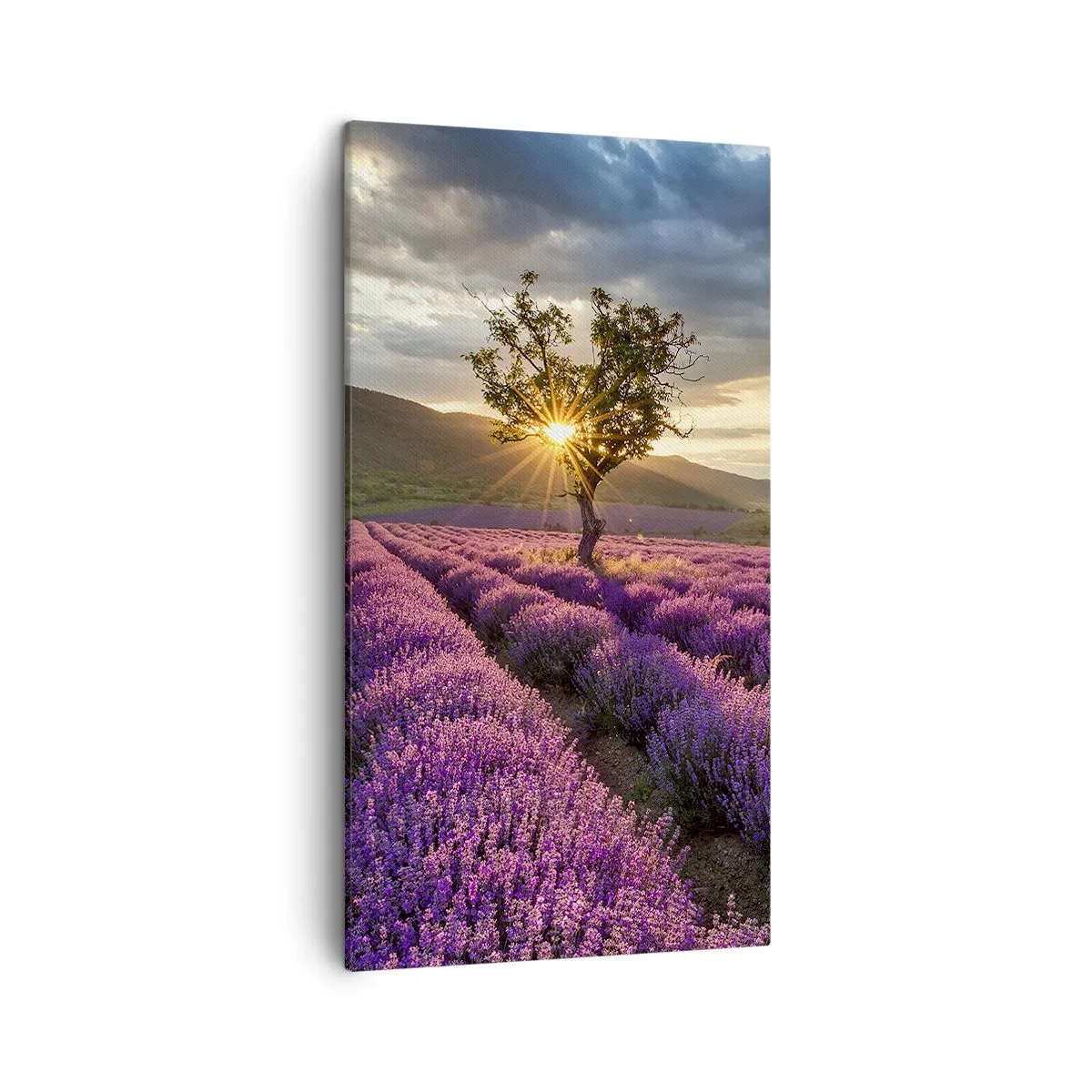 Bild auf Leinwand - Leinwandbild - Fliederfarbenes Aroma - 45x80 cm