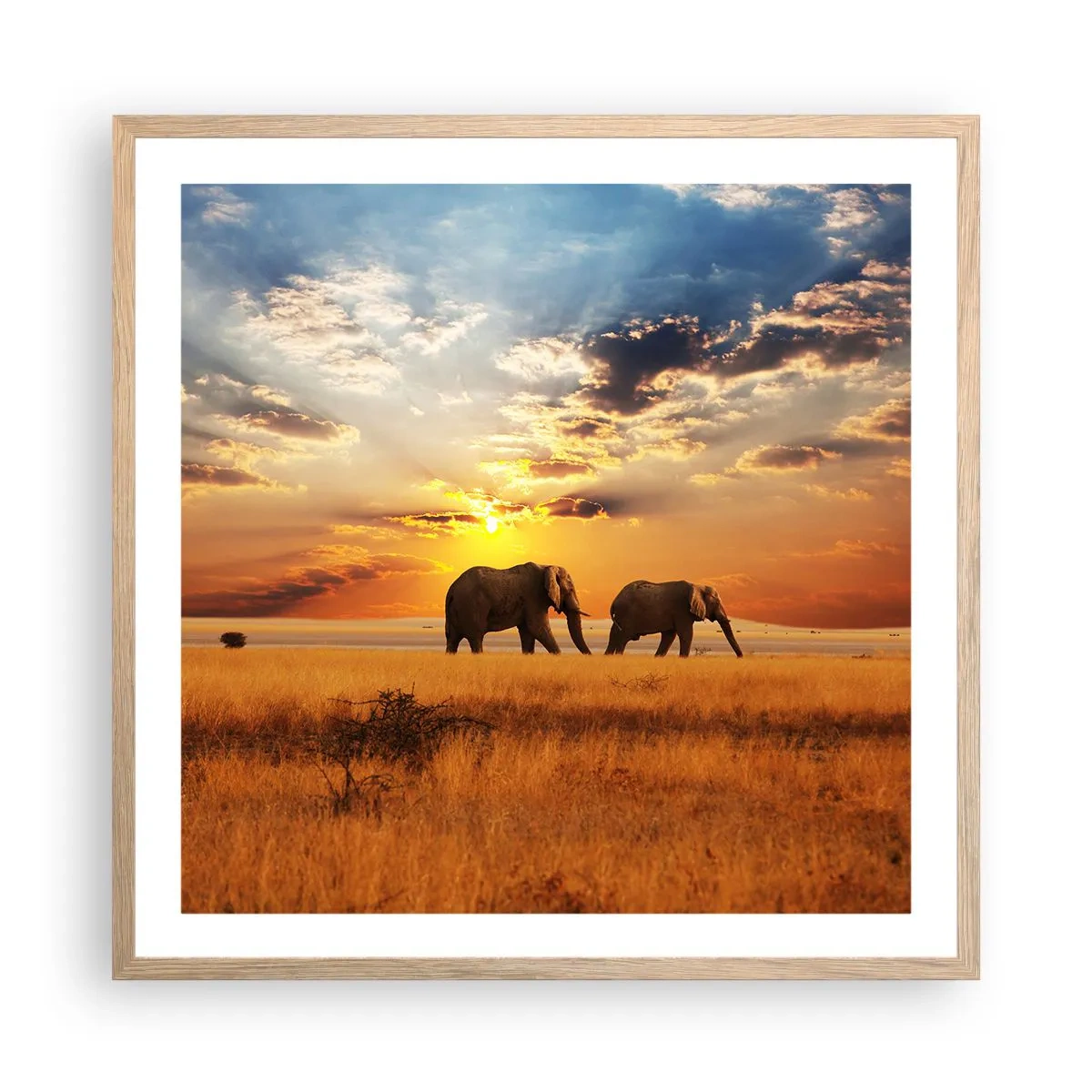 Poster in einem Rahmen aus heller Eiche - Familienspaziergang - 60x60 cm