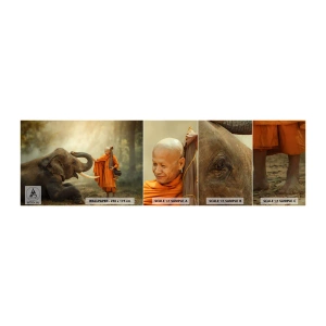 Fototapetenmuster Standard Eco - Treffen unterwegs - Asien, Elefant, Mönch - 100x30 cm
