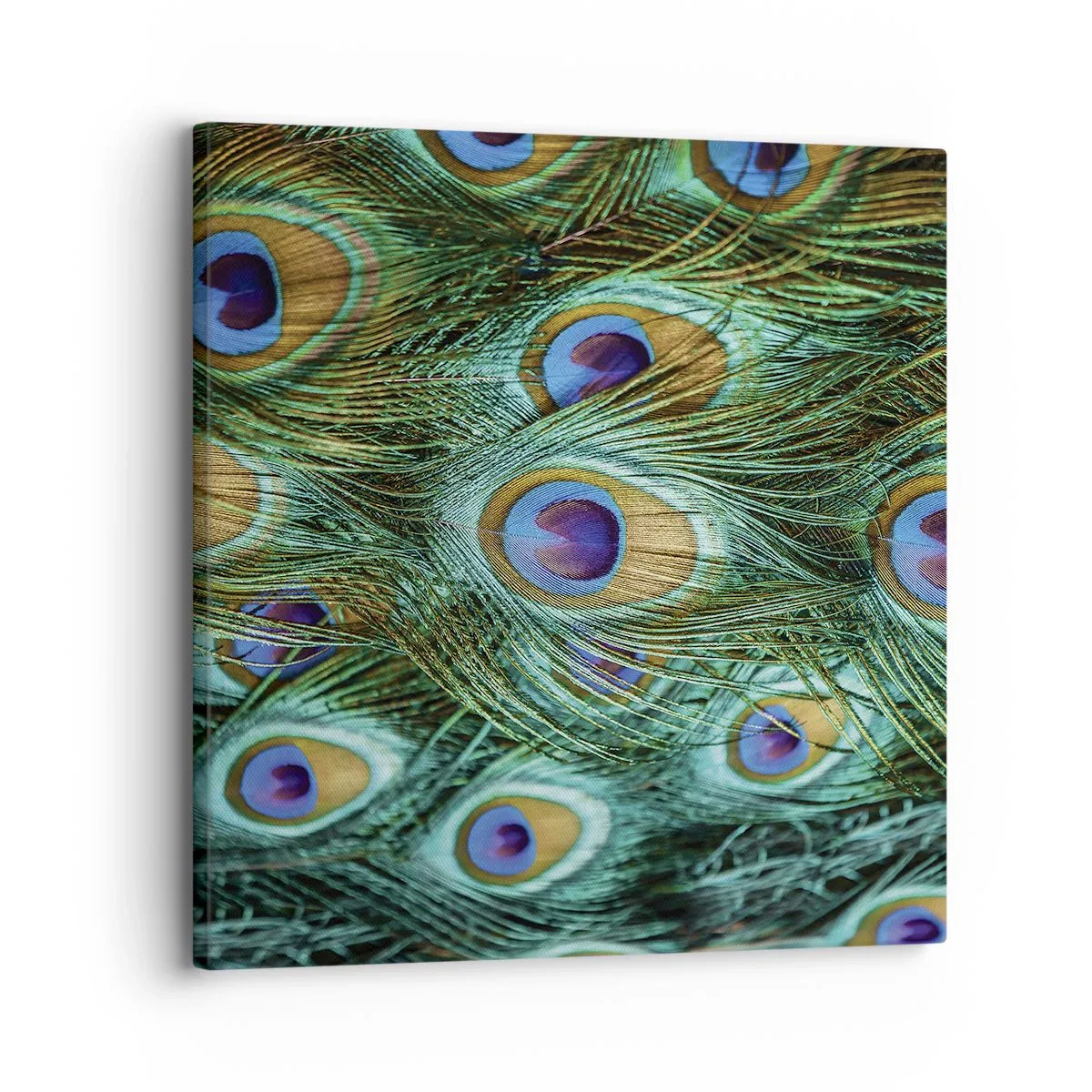 Bild auf Leinwand - Leinwandbild - Ein Blick mit Pfauenaugen - 30x30 cm