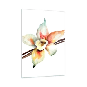 Glasbild - Bild auf glas - Aquarell-Illustration einer Vanilleblüte auf weißem Hintergrund - 50x70cm - Süße mit Farbe verschüttet - Moderne Wanddekoration für Wohnzimmer und Schlafzimmer ARTTOR