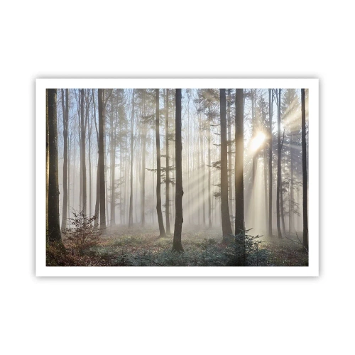 Poster - Ein Wald in leichtem Nebel mit Sonnenstrahlen, die durch die Bäume scheinen - 100x70cm - Der Nebel ist auch aufgewacht - Moderne Wanddekoration für Wohnzimmer und Schlafzimmer ARTTOR