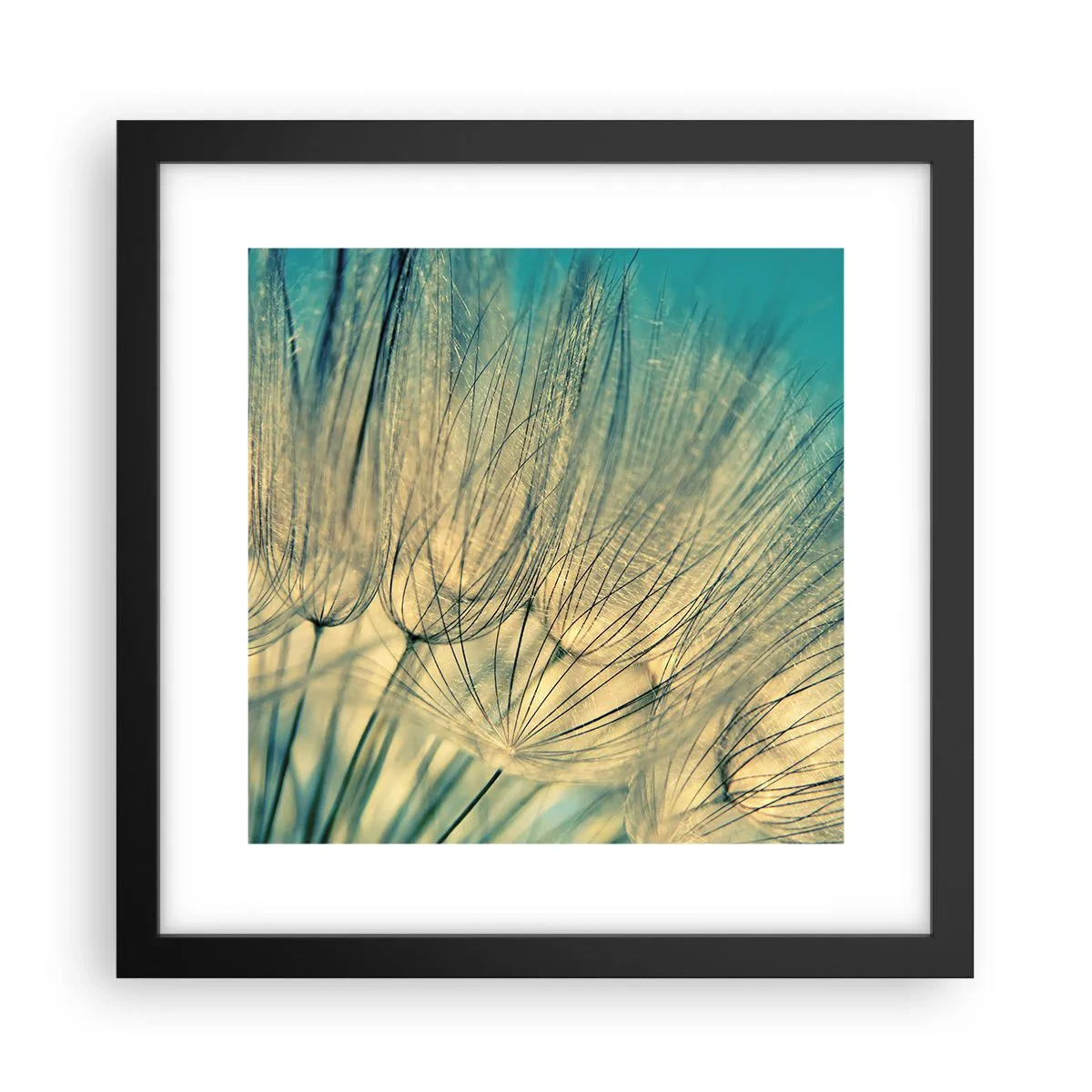 Poster in einem schwarzem Rahmen - In Erwartung des Windes - 30x30 cm