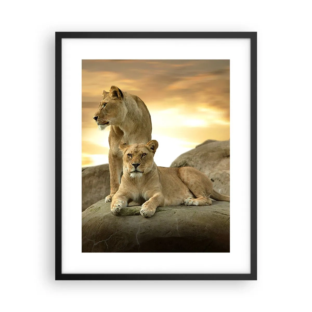 Poster in einem schwarzem Rahmen - Königliche Majestät - 40x50 cm