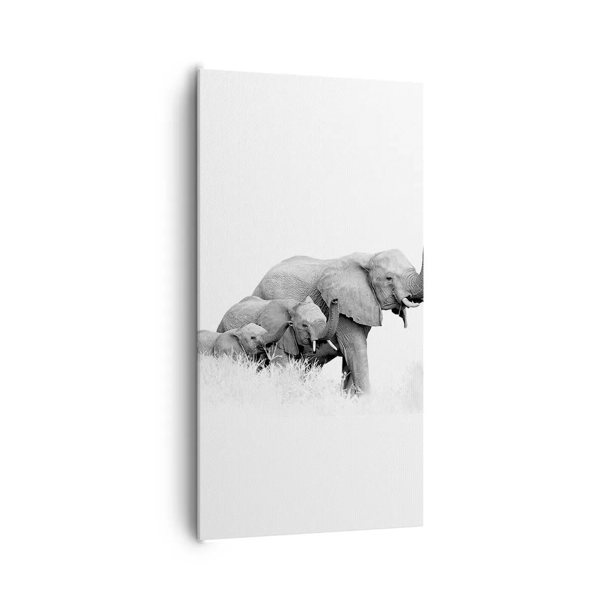 Bild auf Leinwand - Leinwandbild - Eins zwei drei - 65x120 cm