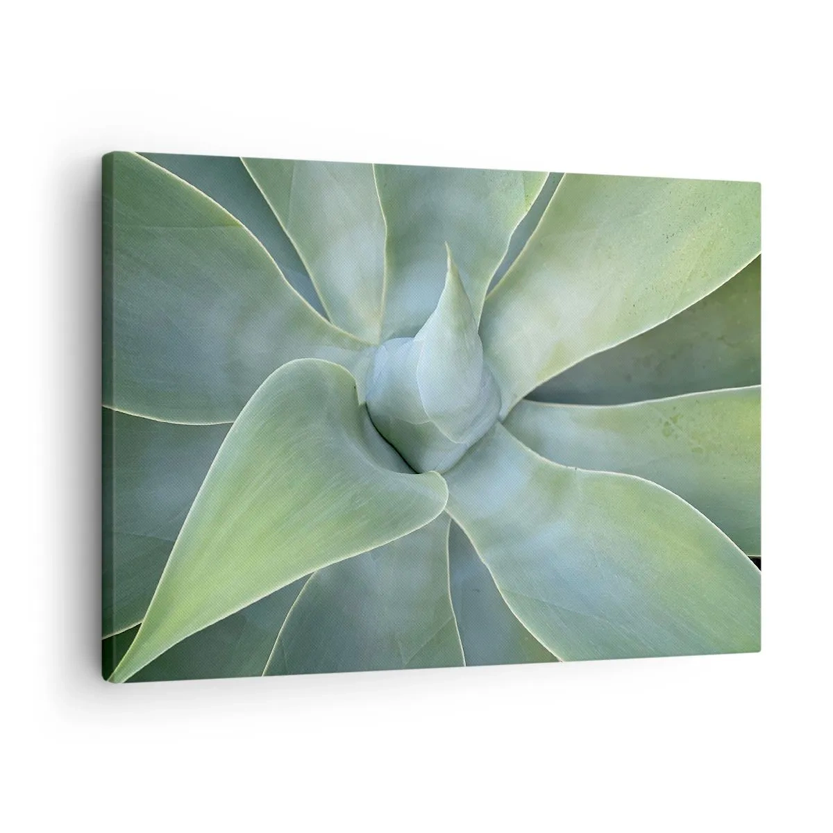 Bild auf Leinwand - Leinwandbild - Dezente Agavenblätter in Grüntönen - 70x50cm - Geburt des Grüns - Moderne Wanddekoration für Wohnzimmer und Schlafzimmer ARTTOR