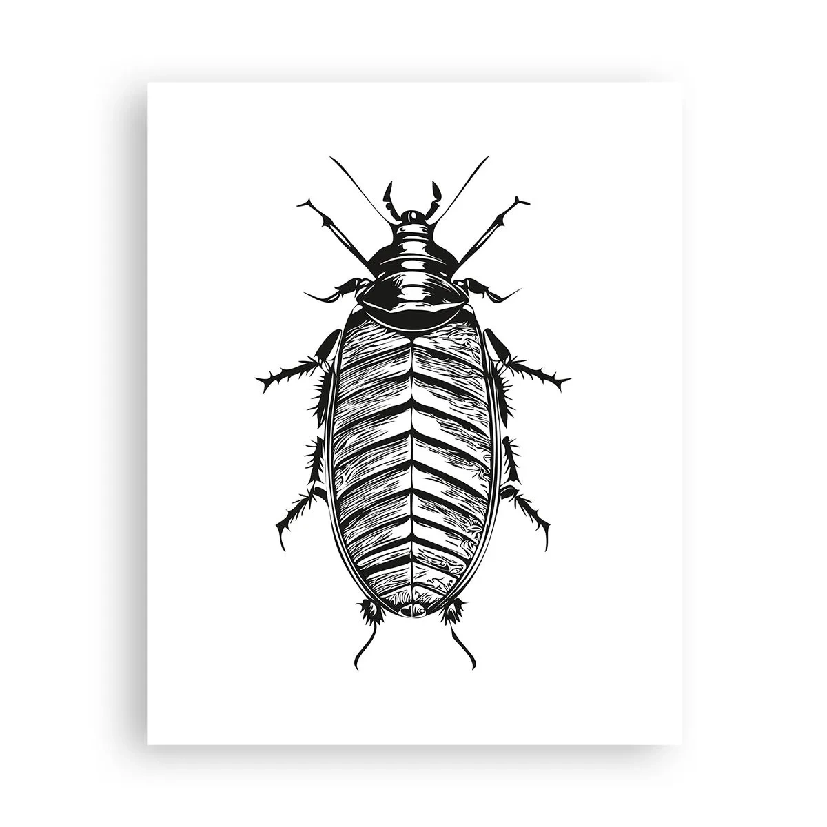 Poster - Was für ein Exemplar! - 40x50 cm