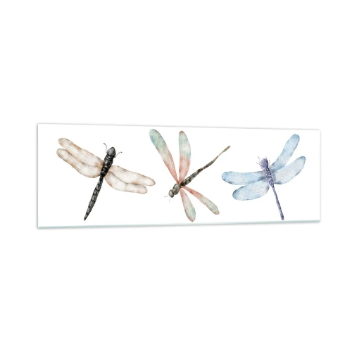 Glasbild - Bild auf glas - Drei Libellen in zarten Pastellfarben - 160x50cm - Schwerelose Libellen - Moderne Wanddekoration für Wohnzimmer und Schlafzimmer ARTTOR