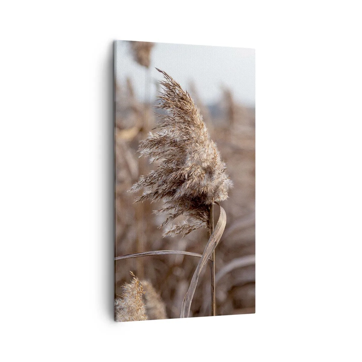 Bild auf Leinwand - Leinwandbild - Zeit, mit dem Wind zu gehen - 45x80 cm