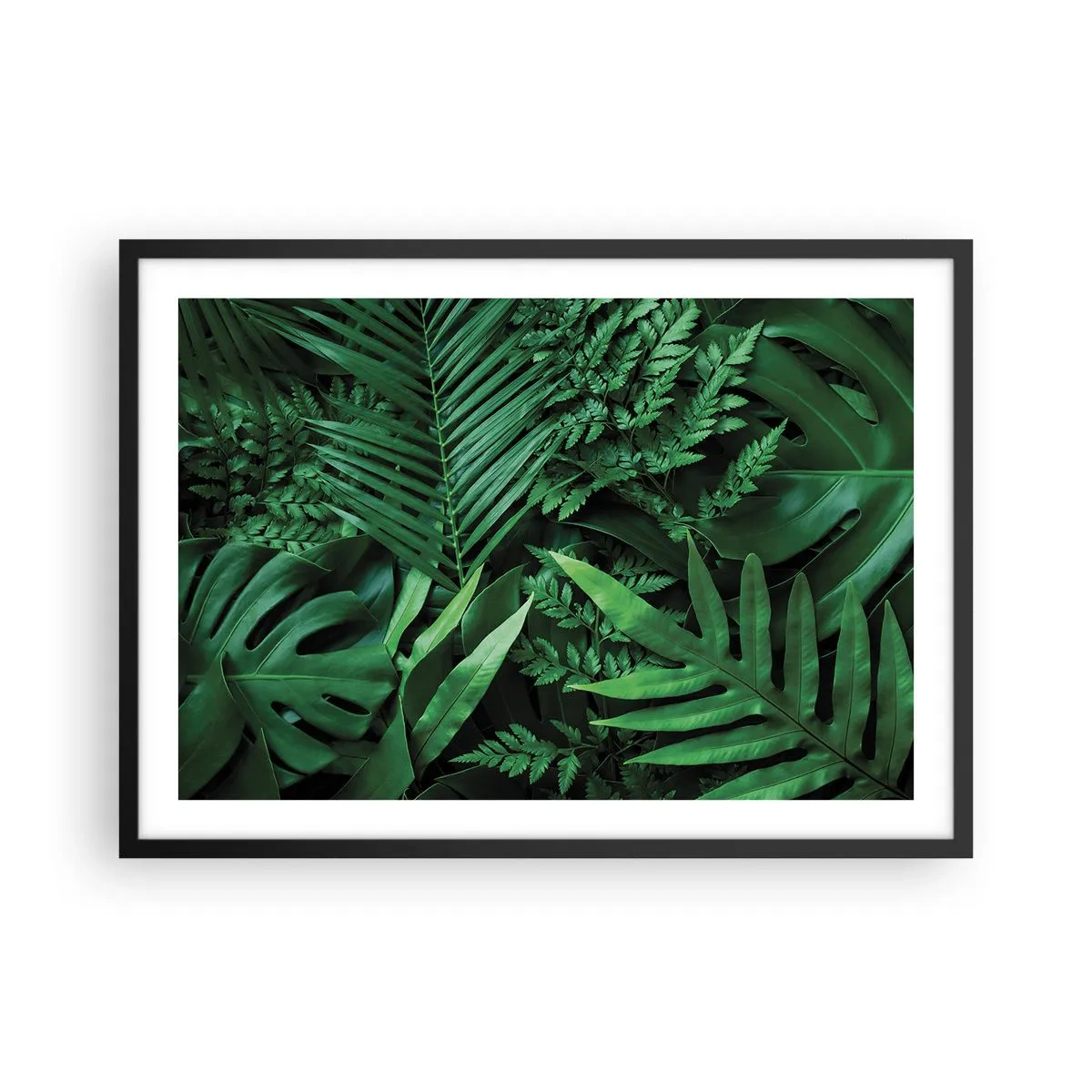 Poster in einem schwarzem Rahmen - Grüne tropische Blätter in einer dichten und natürlichen Komposition - 70x50cm - Eingebettet ins Grüne - Moderne Wanddekoration für Wohnzimmer und Schlafzimmer ARTTOR