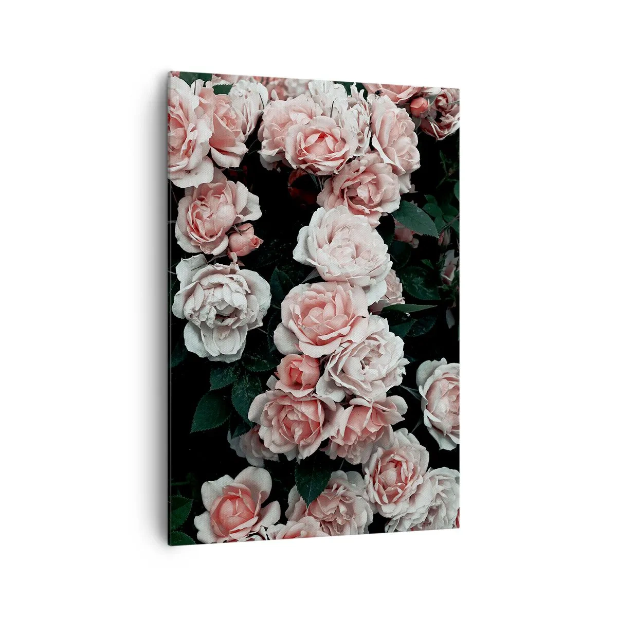 Bild auf Leinwand - Leinwandbild - Rosa Rosen auf dunklem Hintergrund in einer subtilen Komposition - 70x100cm - Rosen-Ensemble - Moderne Wanddekoration für Wohnzimmer und Schlafzimmer ARTTOR